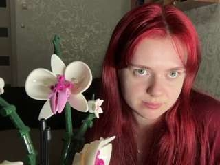 haleyvantassel