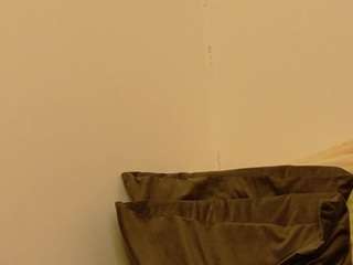 Ammellia live cam preview