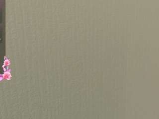blankashot