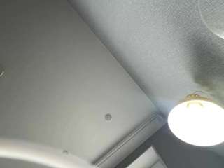 skyelondagin's live room
