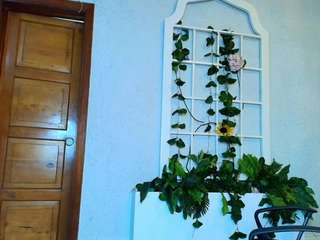 vexxaa