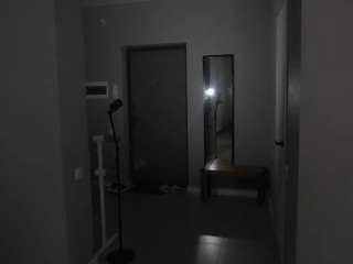 Blondie-ink's cam show statistics and live stream