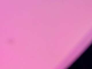 Amor-Si