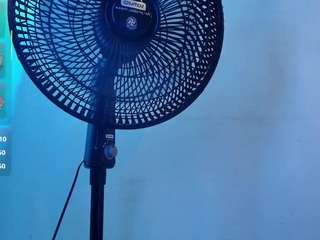 auralislux