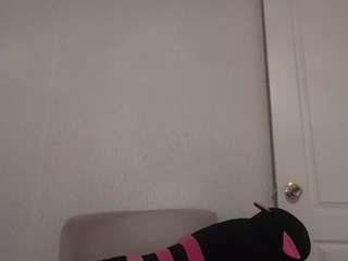 goldacuva webcam