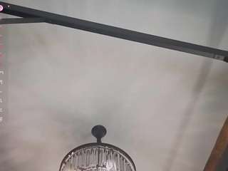 TessKennel live cam preview