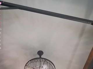 TessKennel live cam preview