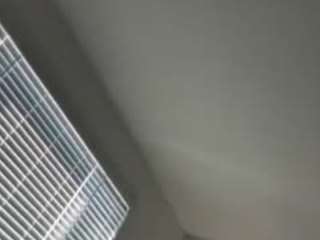 sugarsoles