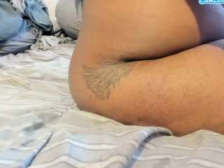 vixenfyre