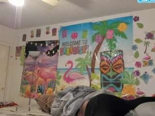 vixenfyre's live room