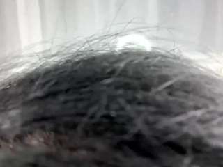 Ely