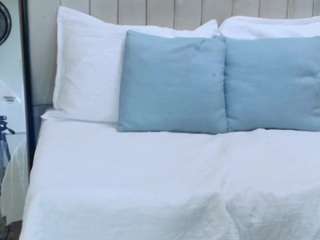 daian-catt