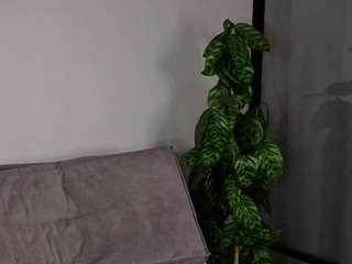 ameliamelly