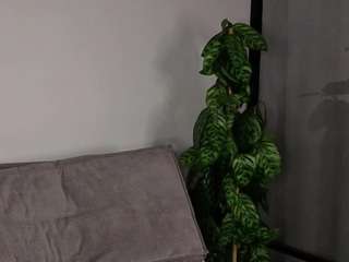 ameliamelly