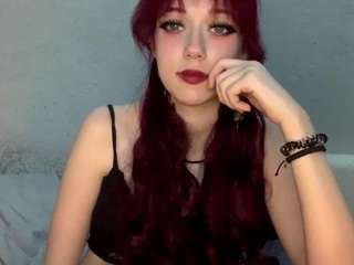 drusillalarkey webcam