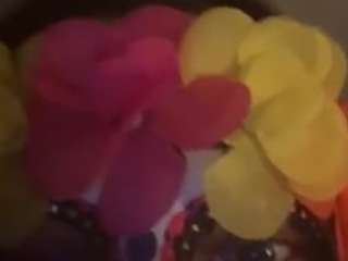 highyellaaubrey