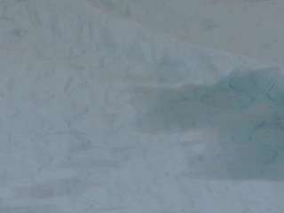 skyandlia webcam