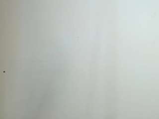 jamylexs1