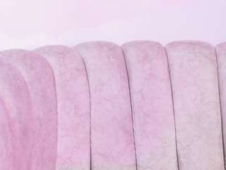 aishadoll1