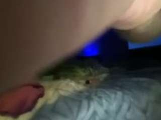 jetrochard92