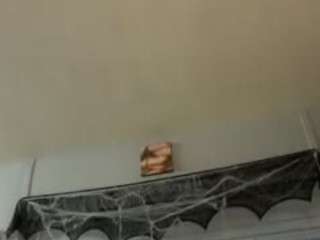 beachsidebabeeve's live room