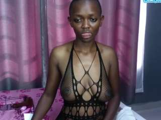 Fantasy254