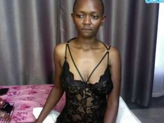 fantasy254