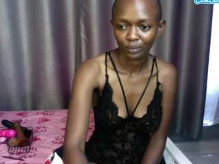 fantasy254
