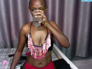 fantasy254