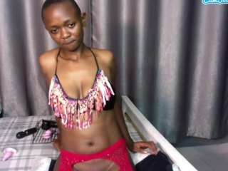 fantasy254