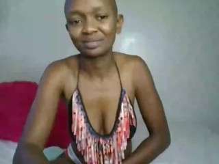 Fantasy254