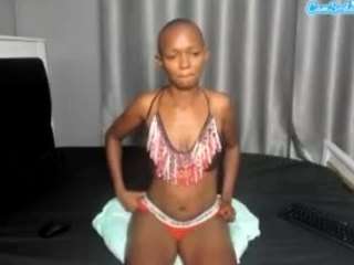 Fantasy254