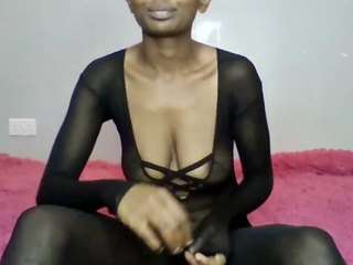 Fantasy254