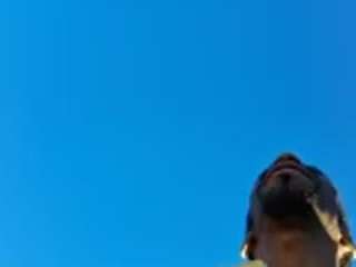 betshecntfuckme live cam preview