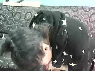 indianblaze009 live cam preview