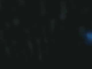 lily-blossom live cam preview