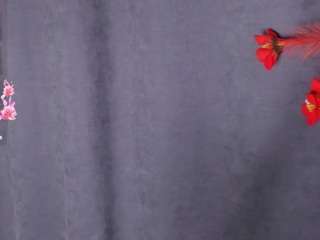 karinisse