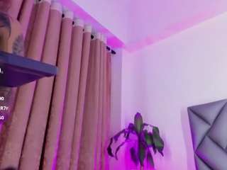 BanMerlin live cam preview
