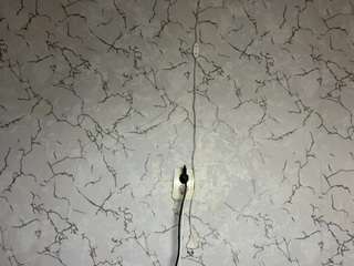 joleensturtz