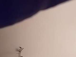 missamanda69x