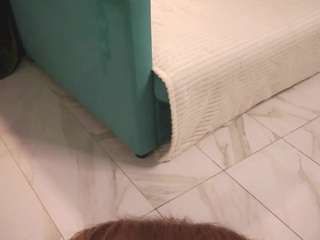 cassiemadler