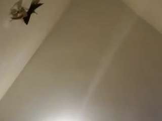 Mell25Lilith live cam preview