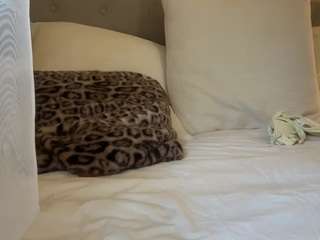 sofia live cam preview