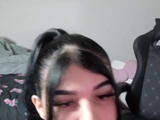 Lapuppycakes