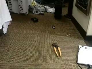 WhiteRhino84