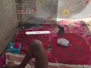 JungleFeverVR