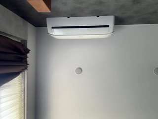 Ginny live cam preview