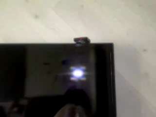 Ginny live cam preview