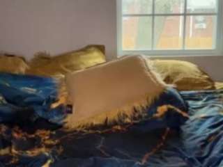 laylared webcam model