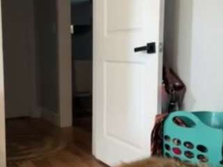 Live webcam model laylared on Soda Cams